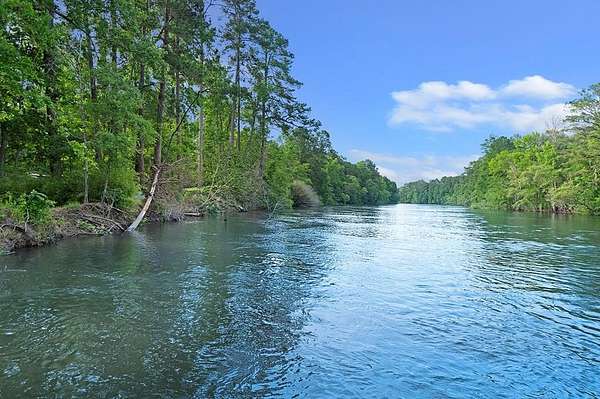 259 Acres of Land for Sale in Jasper, Texas