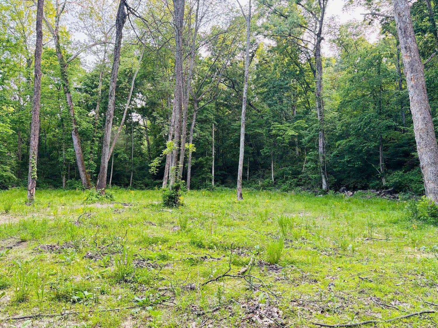 11.8 Acres of Recreational Land for Sale in Laurel, Indiana