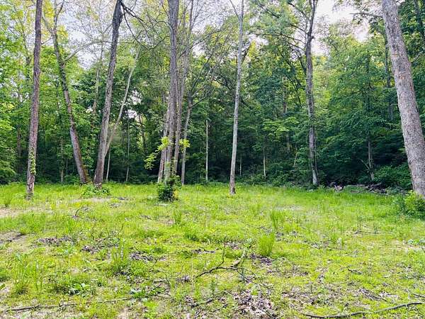 11.8 Acres of Recreational & Residential Land for Sale in Laurel, Indiana