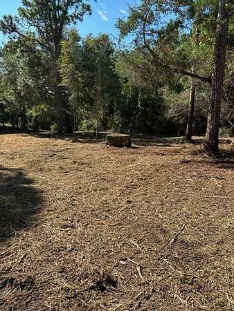 1 Acre of Residential Land for Sale in Carrabelle, Florida