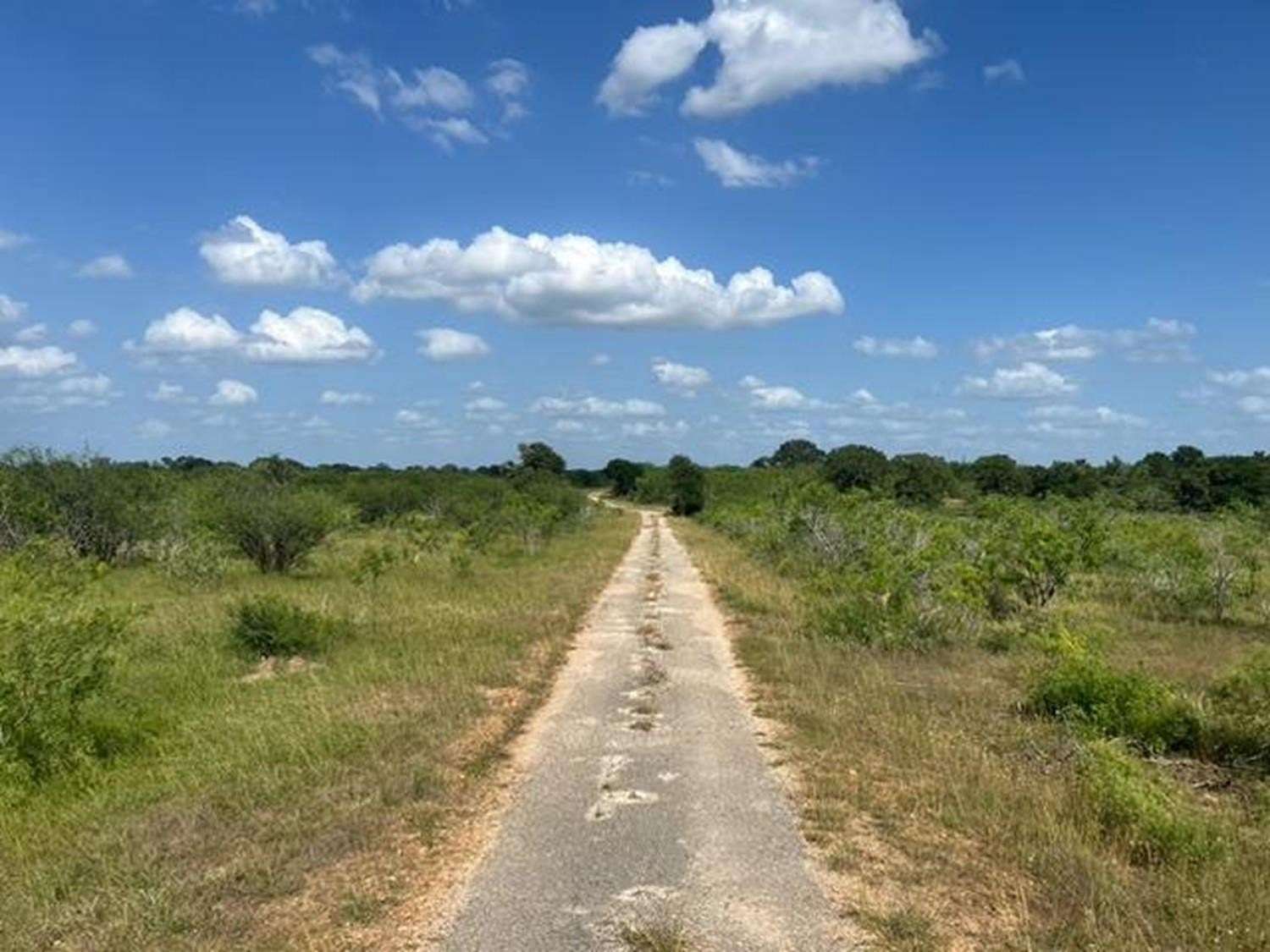 34 Acres of Agricultural Land for Sale in Waelder, Texas