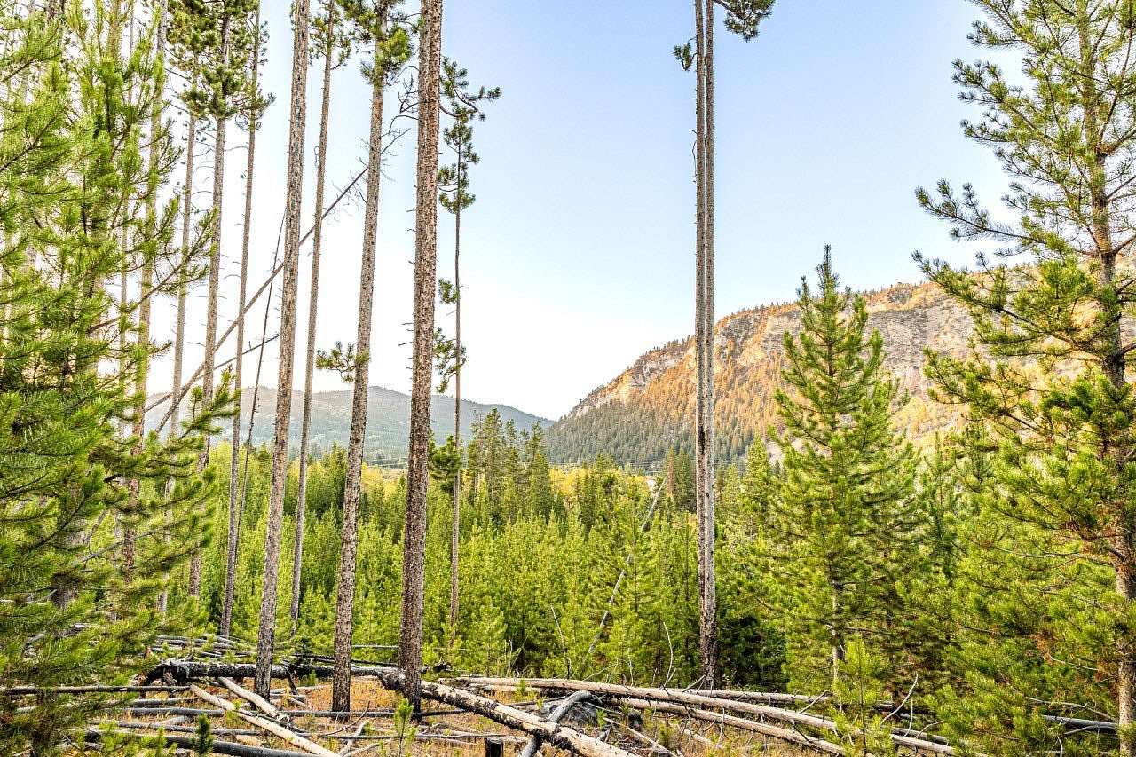 5 Acres of Residential Land for Sale in Anaconda, Montana