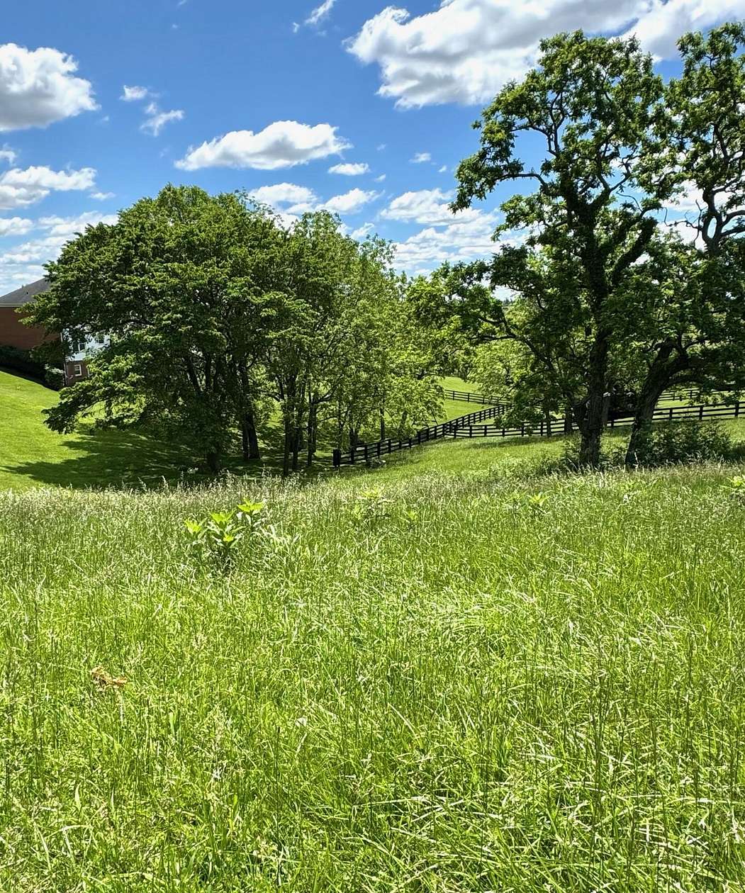 0.58 Acres of Residential Land for Sale in Georgetown, Kentucky