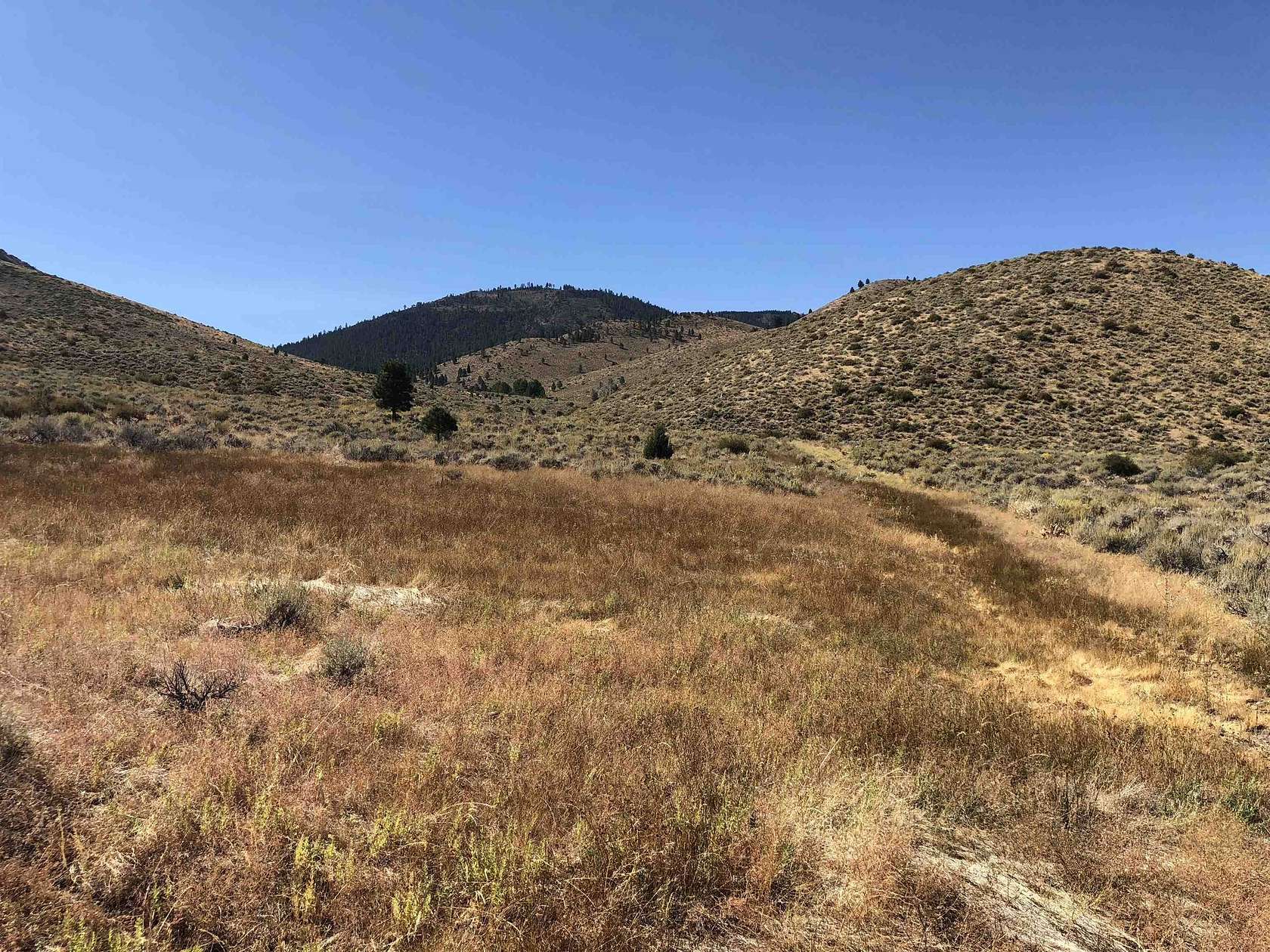 80 Acres of Land for Sale in Chilcoot, California