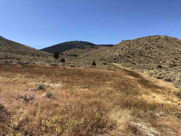 80 Acres of Recreational Land & Farm for Sale in Chilcoot, California