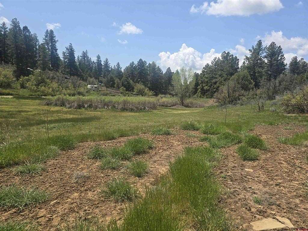 1 Acre of Residential Land for Sale in Pagosa Springs, Colorado