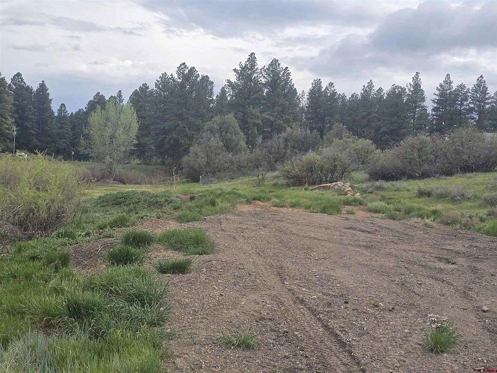 1 Acre of Residential Land for Sale in Pagosa Springs, Colorado