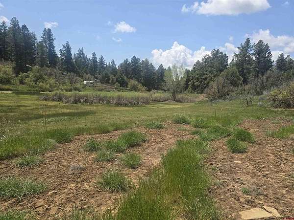 1 Acre of Land for Sale in Pagosa Springs, Colorado