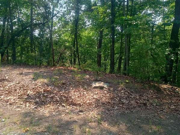 1.2 Acres of Land for Sale in Ranger, Georgia