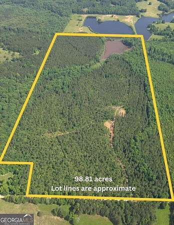 98.8 Acres of Recreational Land for Sale in Greenville, Georgia