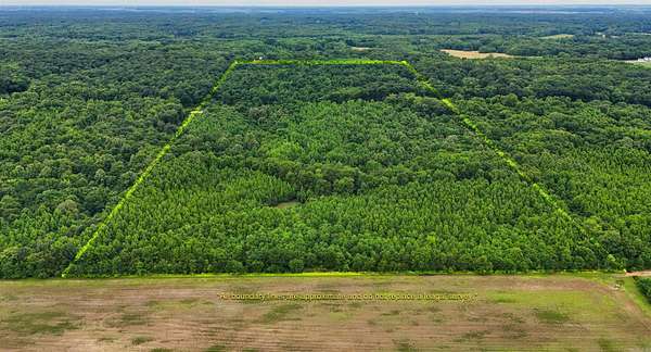 40 Acres of Recreational Land with Home for Sale in Wynne, Arkansas