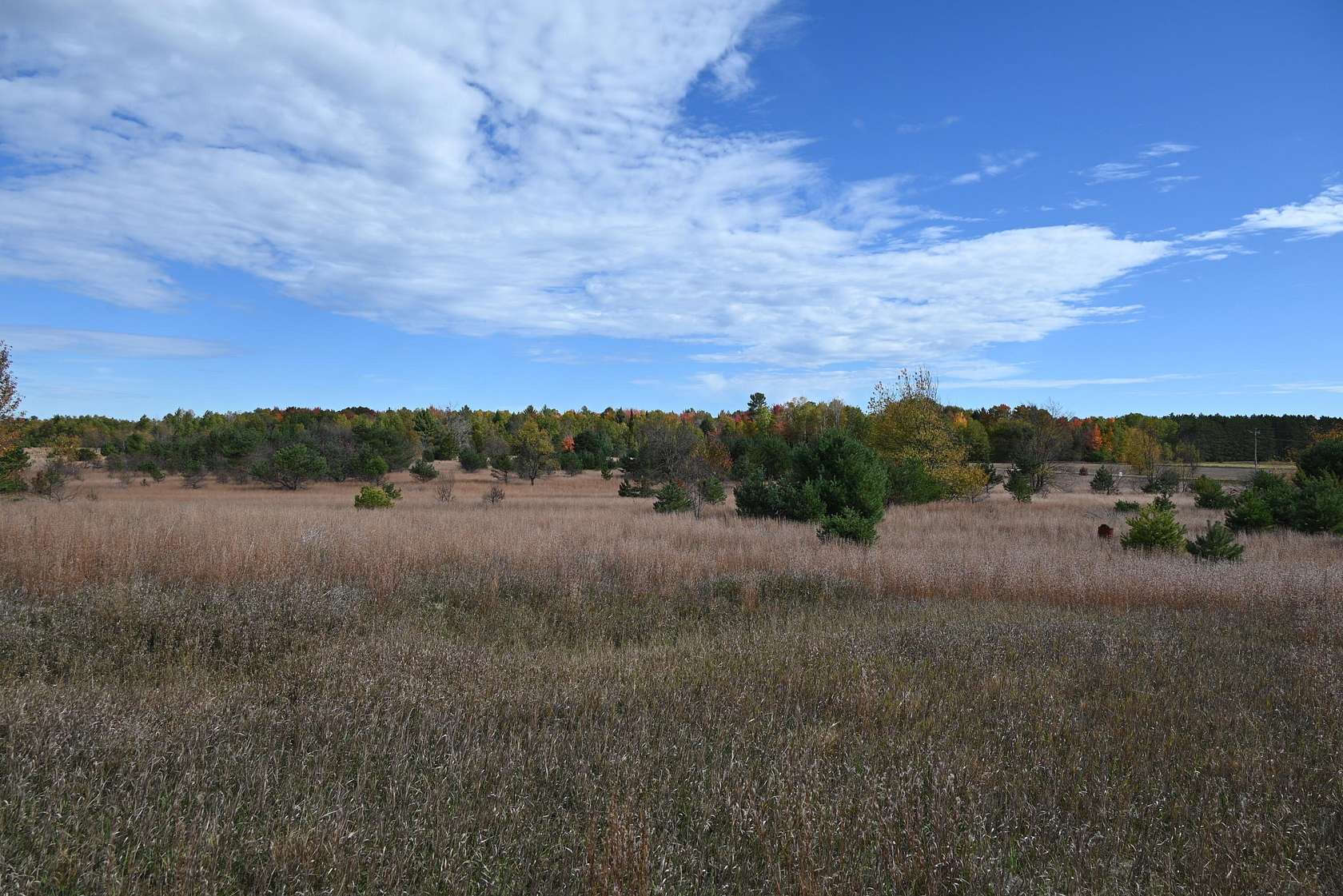 10 Acres of Recreational Land for Sale in Kalkaska, Michigan