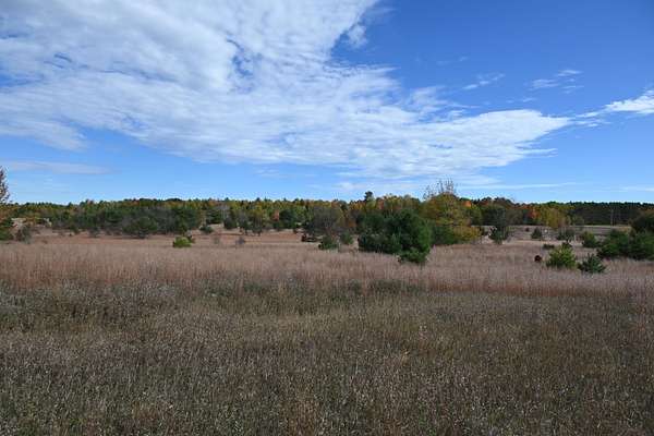 10 Acres of Recreational Land for Sale in Kalkaska, Michigan