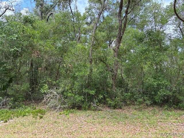 0.31 Acres of Residential Land for Sale in Crystal River, Florida