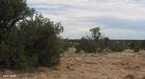 5 Acres of Land for Sale in Heber, Arizona