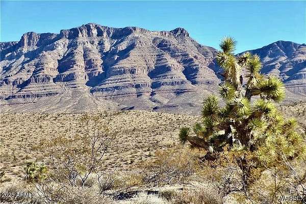 1.23 Acres of Residential Land for Sale in Meadview, Arizona