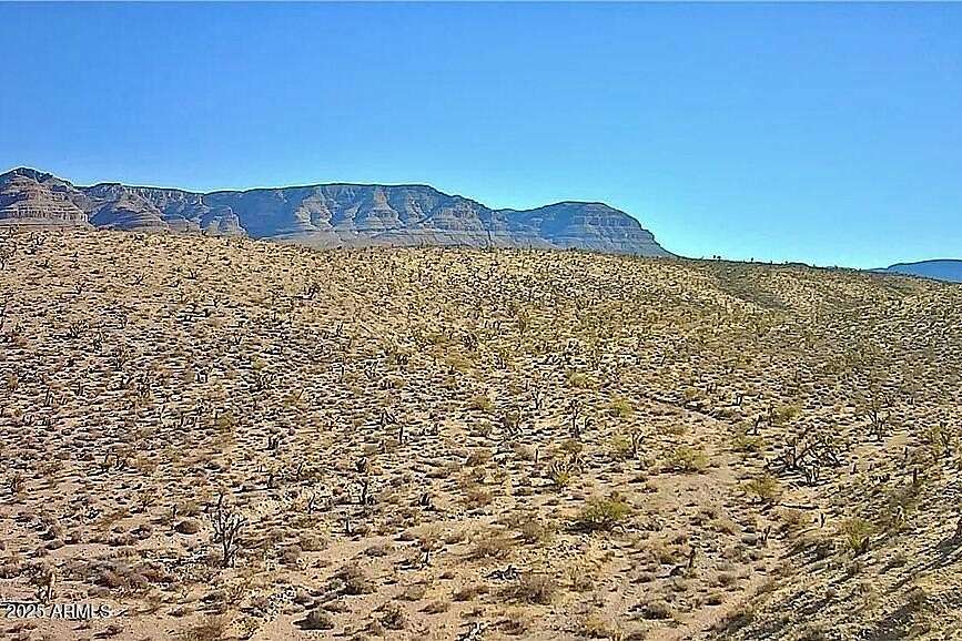 1.25 Acres of Land for Sale in Meadview, Arizona
