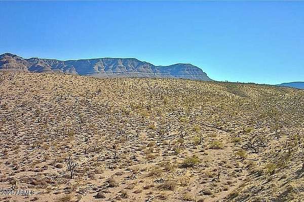 1.25 Acres of Land for Sale in Meadview, Arizona