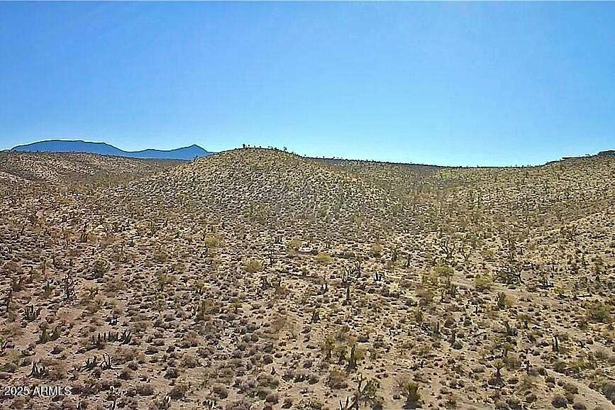 1.25 Acres of Land for Sale in Meadview, Arizona