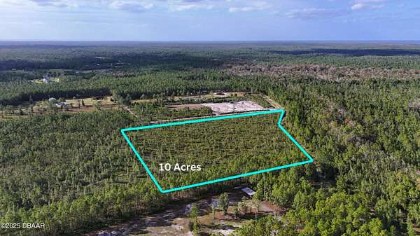 10 Acres of Recreational Land & Farm for Sale in Pierson, Florida