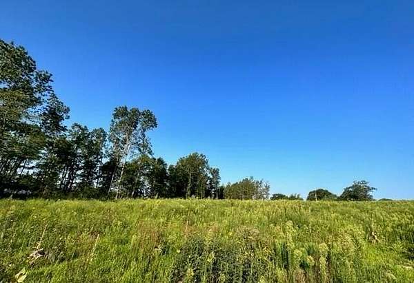 19.1 Acres of Land for Sale in Mountain View, Missouri