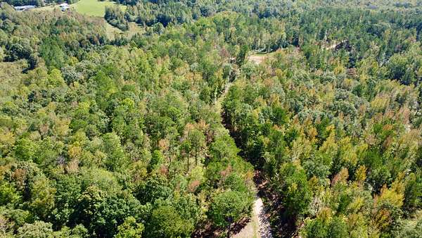 6 Acres of Residential Land for Sale in Ashland, Alabama