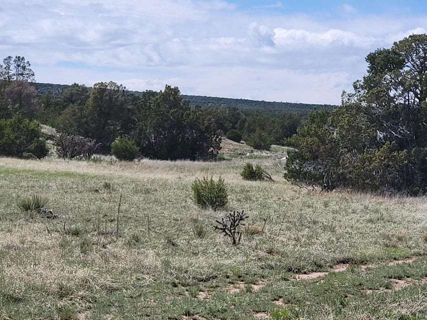 4.9 Acres of Land for Sale in Moriarty, New Mexico