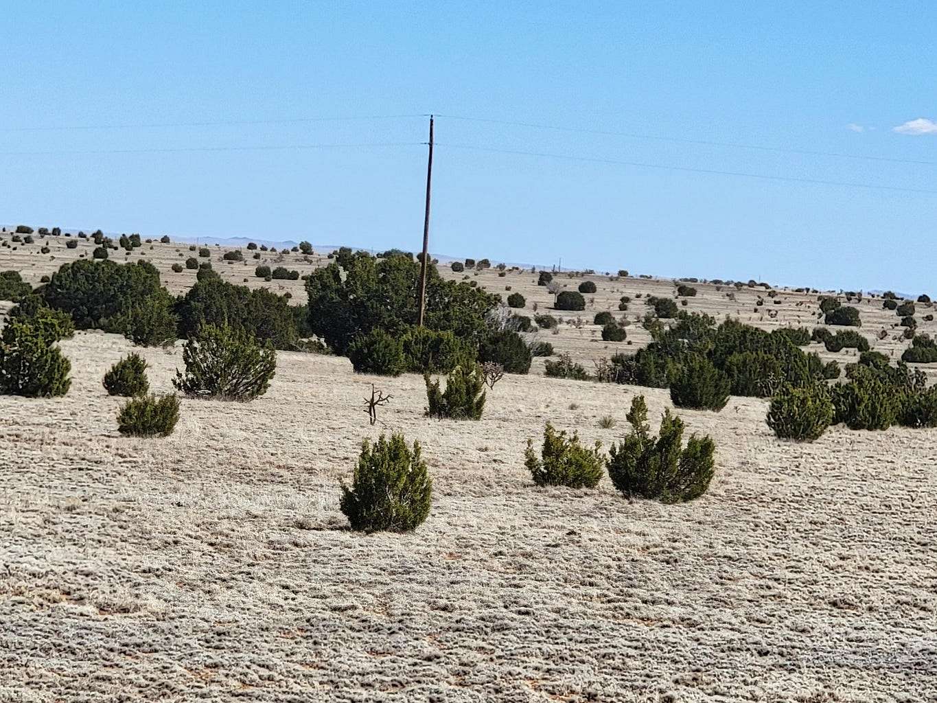 40 Acres of Recreational Land & Farm for Sale in Estancia, New Mexico