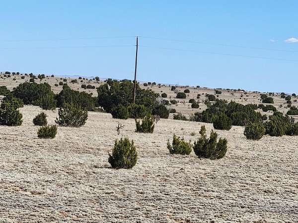 40 Acres of Recreational Land & Farm for Sale in Estancia, New Mexico