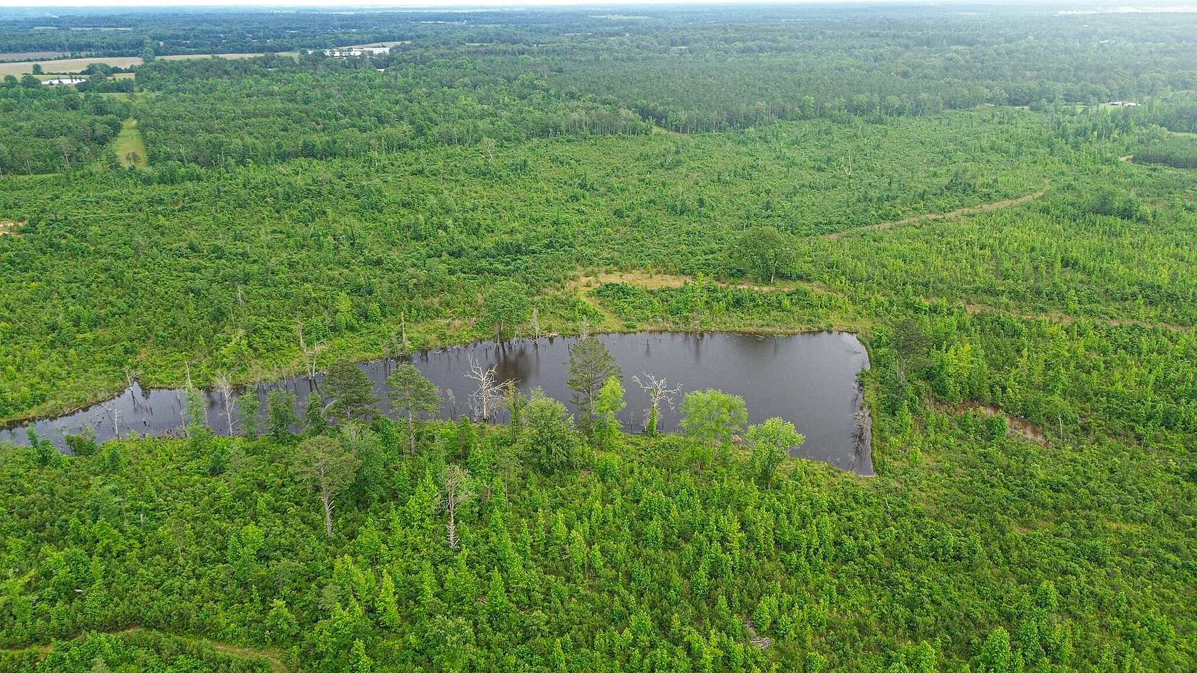 280 Acres of Recreational Land for Sale in Houston, Mississippi