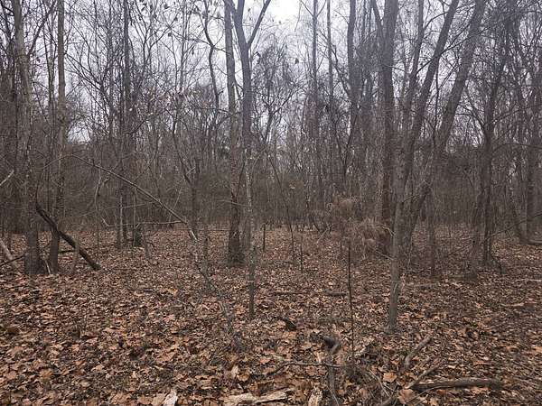 10 Acres of Recreational Land & Farm for Sale in Antlers, Oklahoma