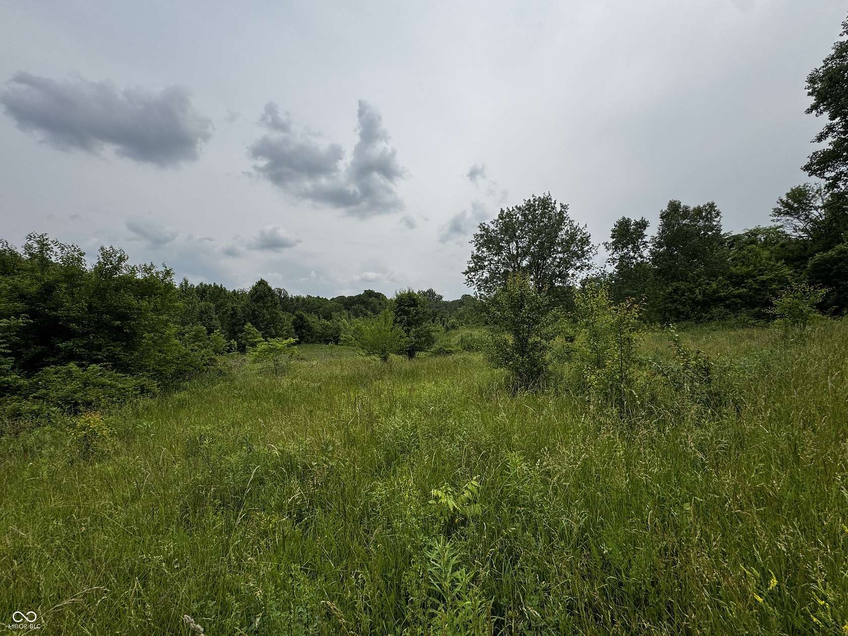0.51 Acres of Residential Land for Sale in Indianapolis, Indiana