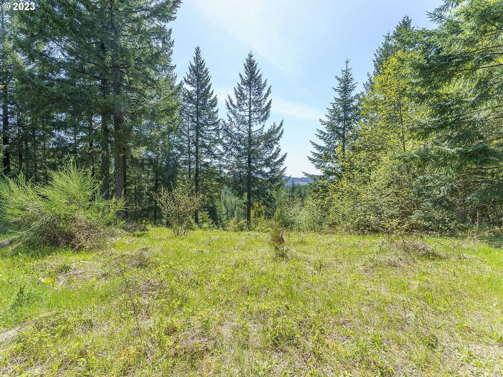 2.59 Acres of Residential Land for Sale in Banks, Oregon