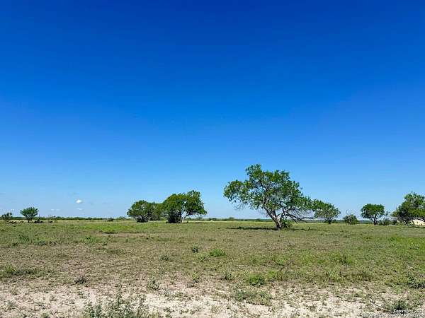 10 Acres of Residential Land for Sale in Falls City, Texas