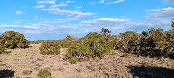 2.47 Acres of Land for Sale in Chambers, Arizona