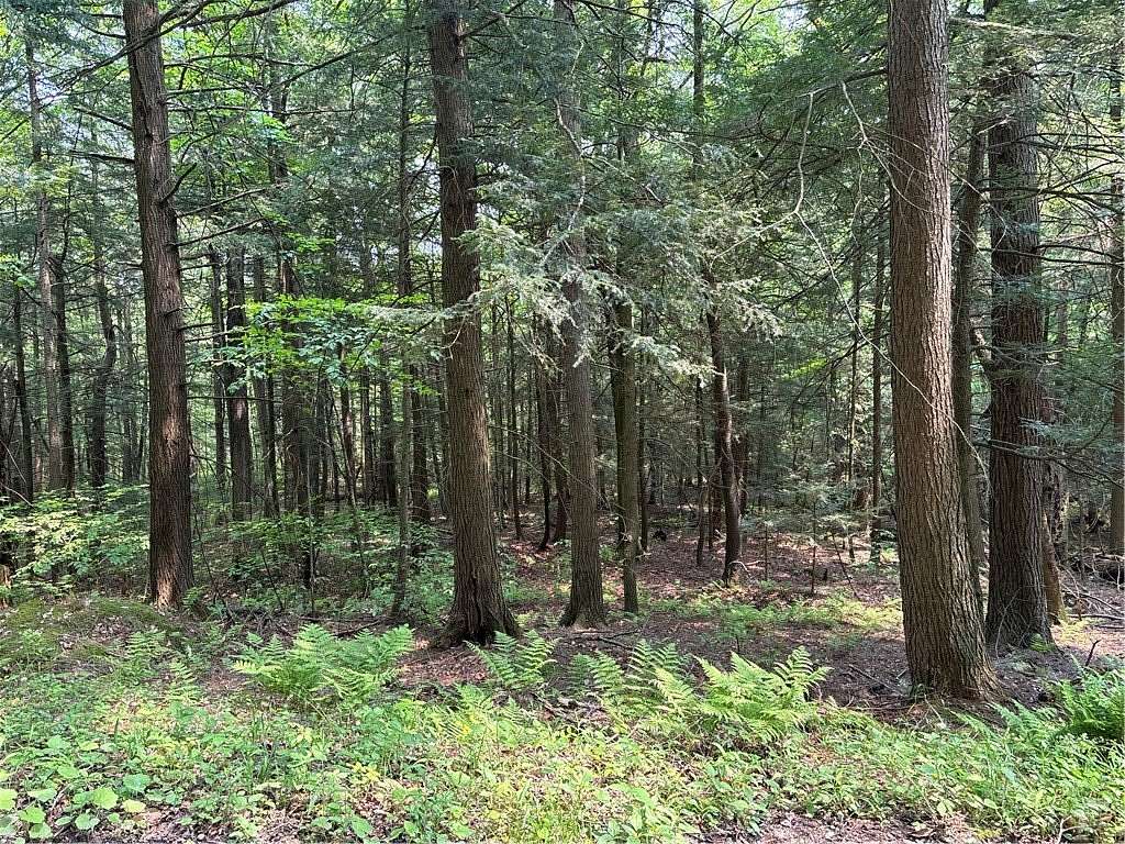 6.2 Acres of Residential Land for Sale in Dansville, New York