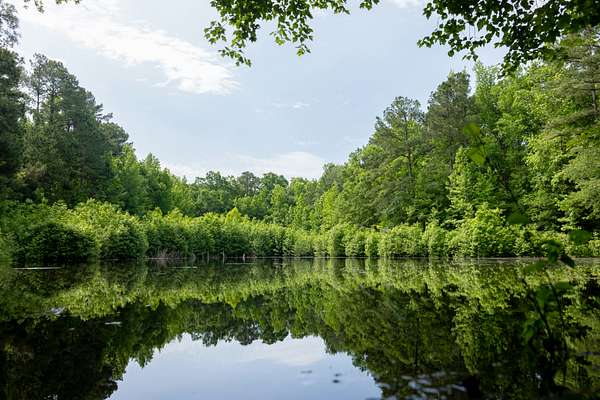 138 Acres of Recreational Land for Sale in Westville, South Carolina