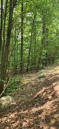 0.88 Acres of Residential Land for Sale in Wilton, Maine