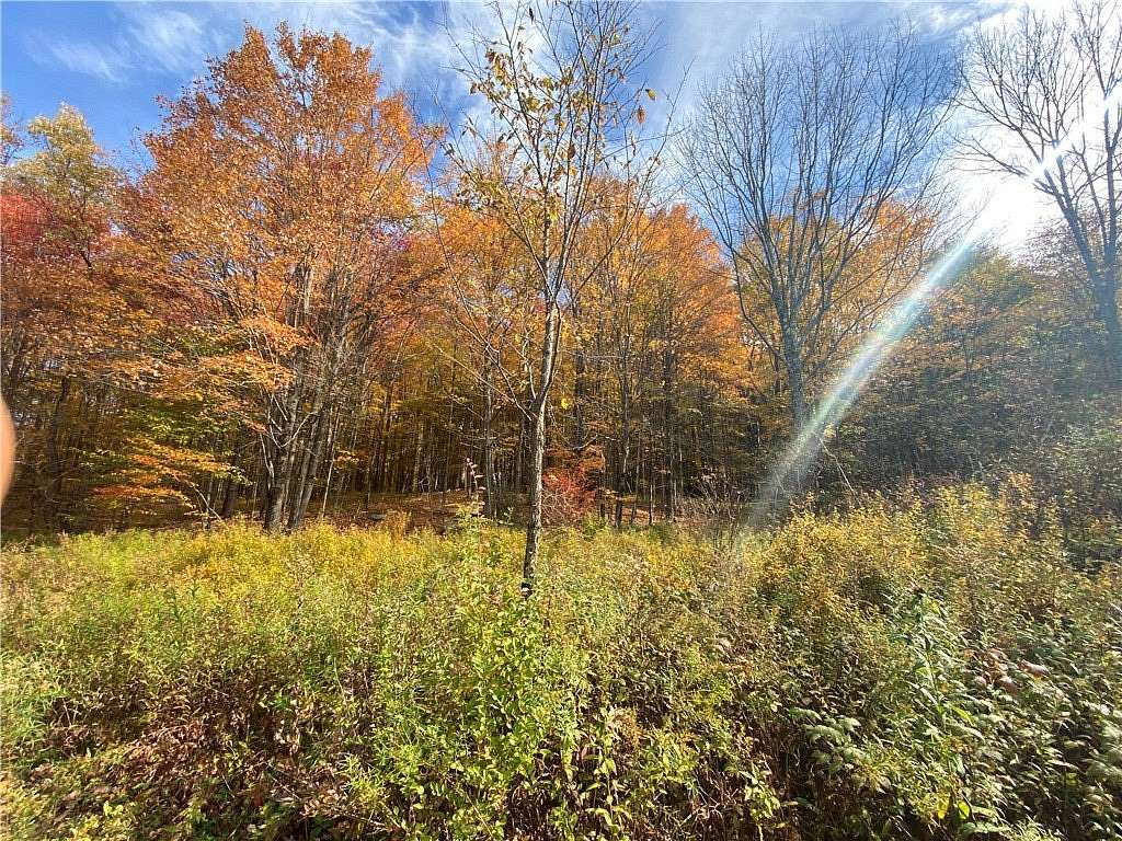 16.3 Acres of Land for Sale in Stamford, New York
