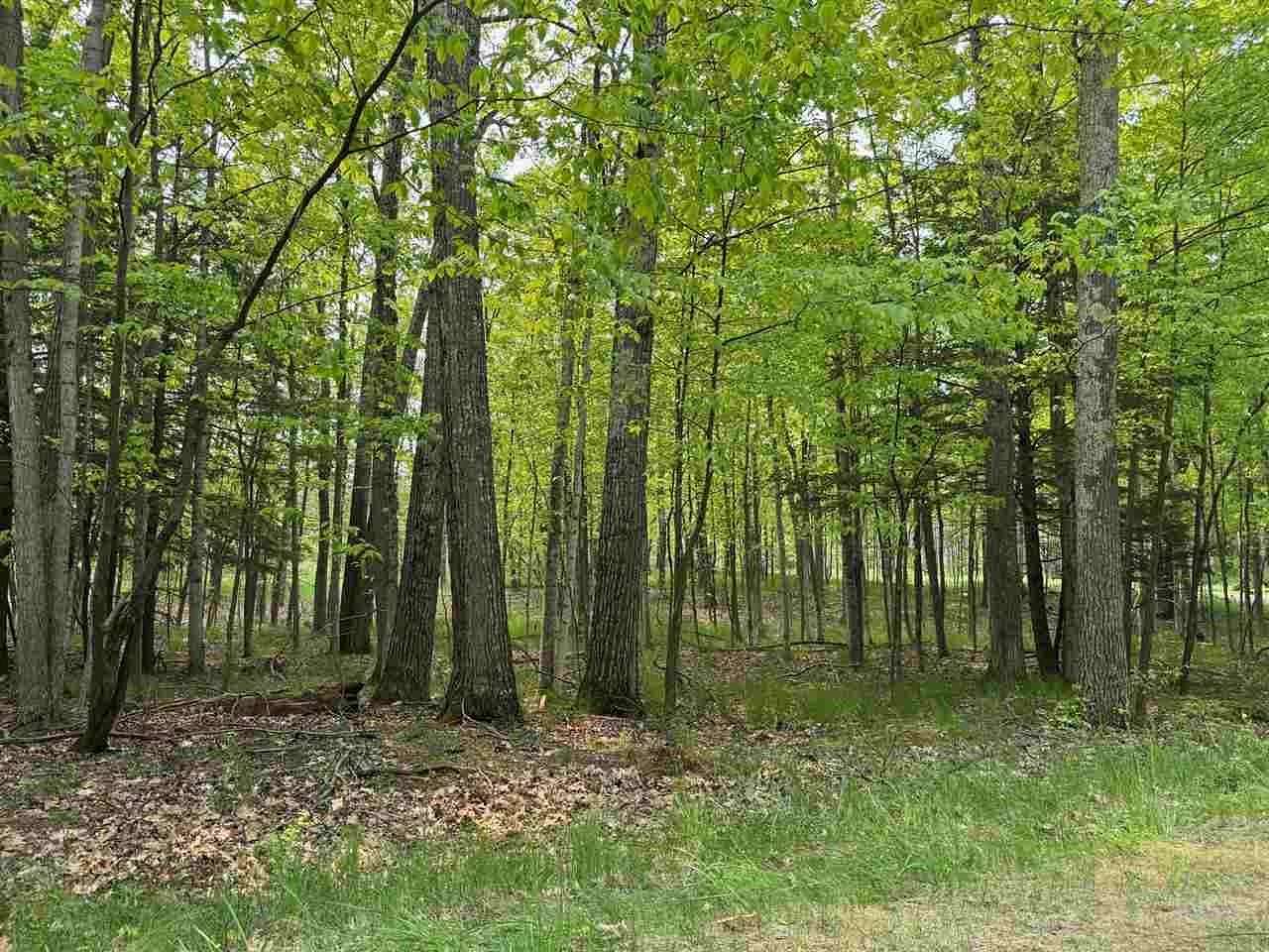 1.34 Acres of Residential Land for Sale in Harbor Springs, Michigan