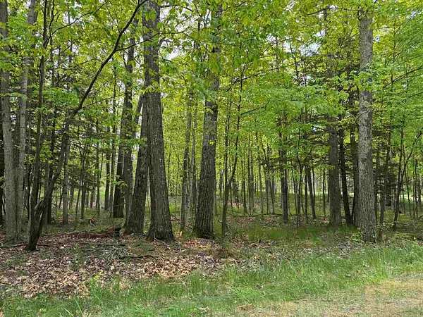 1.34 Acres of Residential Land for Sale in Harbor Springs, Michigan