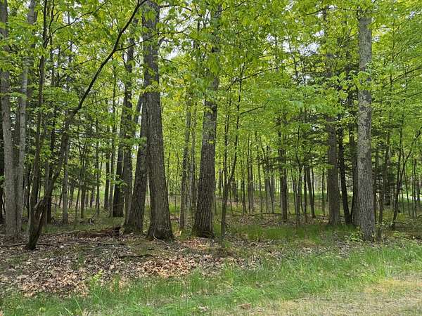 1.34 Acres of Residential Land for Sale in Harbor Springs, Michigan