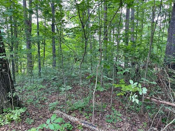 0.49 Acres of Residential Land for Sale in Dayton, Tennessee