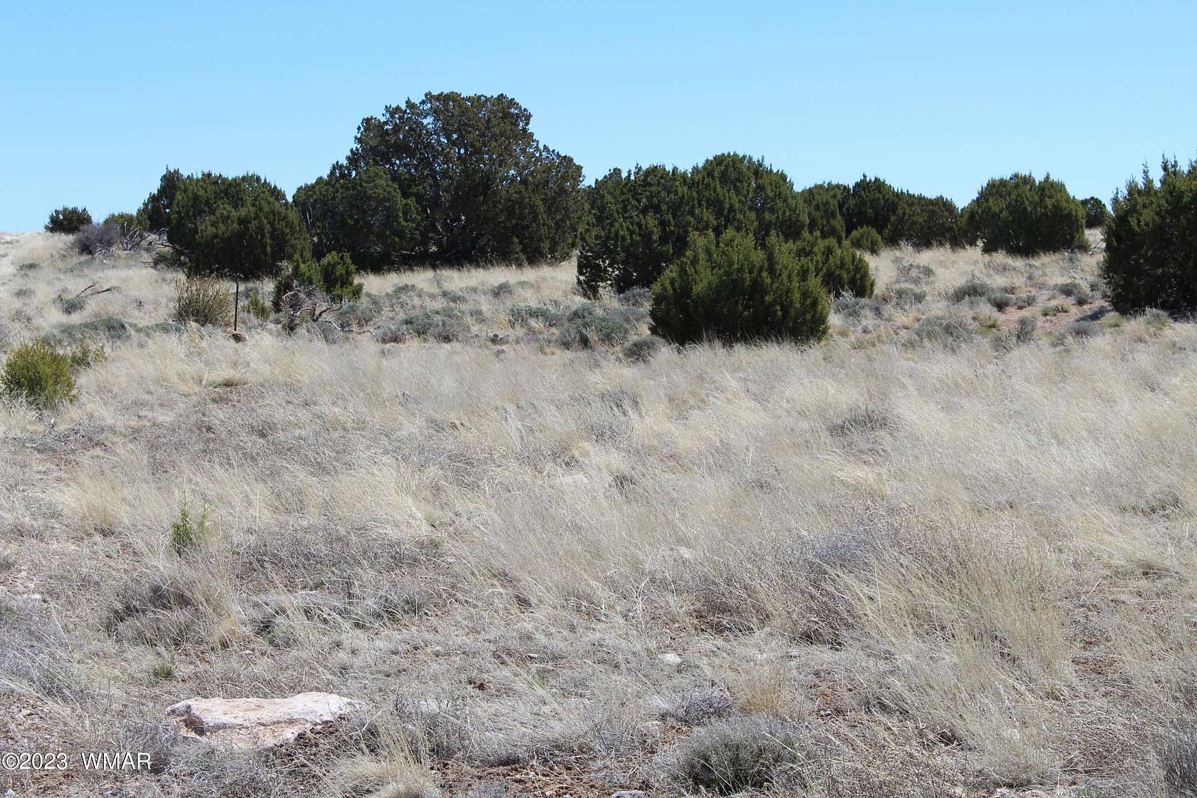 7 Acres of Residential Land for Sale in Concho, Arizona