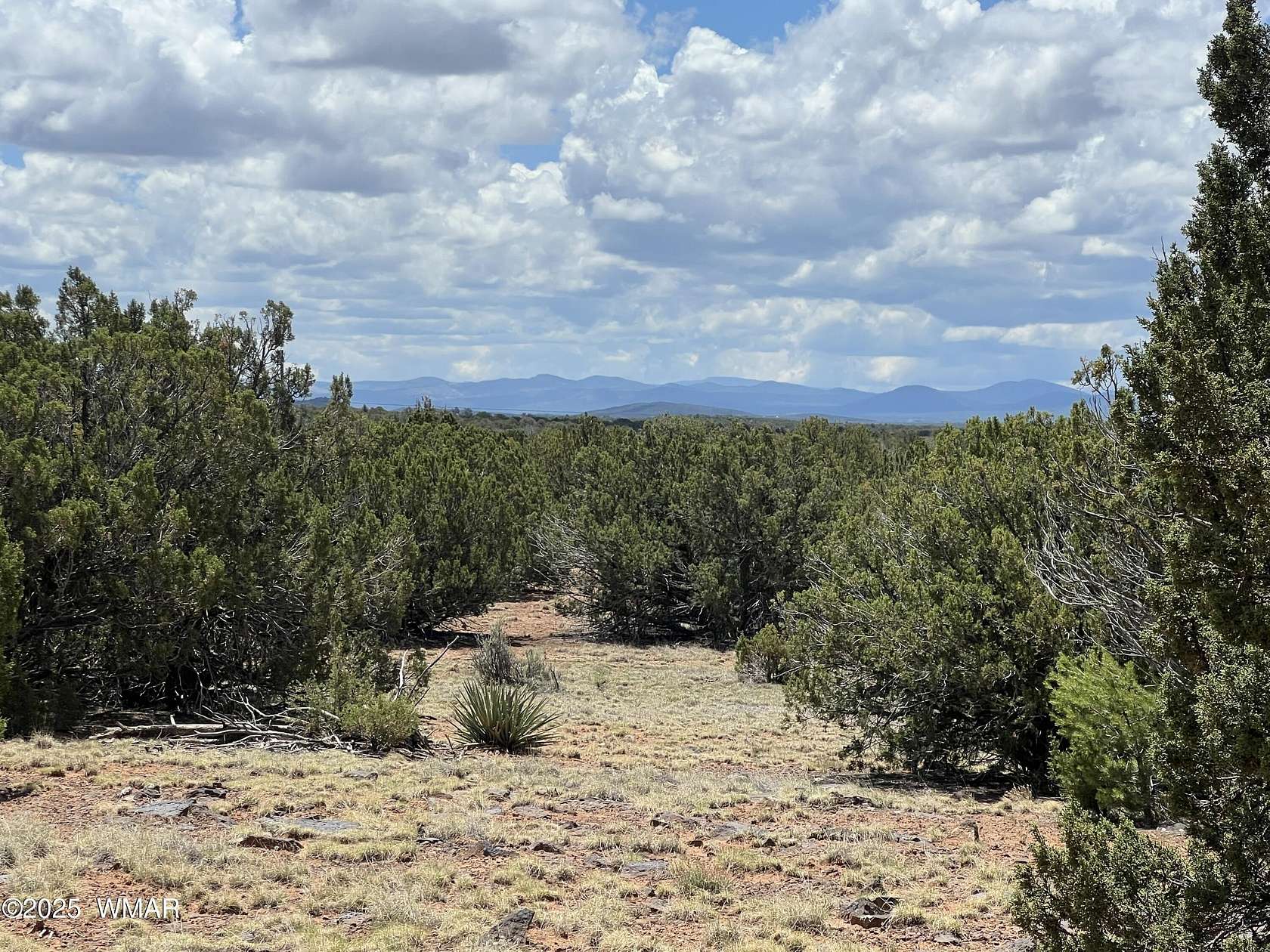 1.17 Acres of Residential Land for Sale in Concho, Arizona