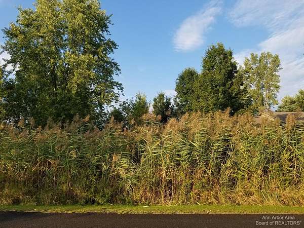 0.44 Acres of Residential Land for Sale in Onsted, Michigan