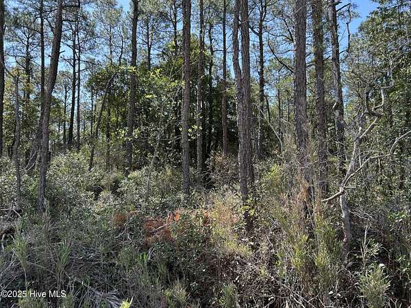 5.55 Acres of Residential Land for Sale in Wilmington, North Carolina