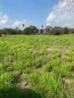 8 Acres of Land for Sale in Edinburg, Texas