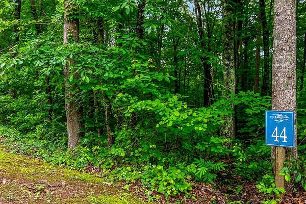 1 Acre of Residential Land for Sale in Ellijay, Georgia