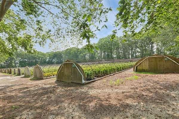 11.3 Acres of Land for Lease in Jamesport, New York